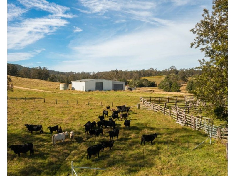 151 Secombs Lane, Hickeys Creek NSW 2440