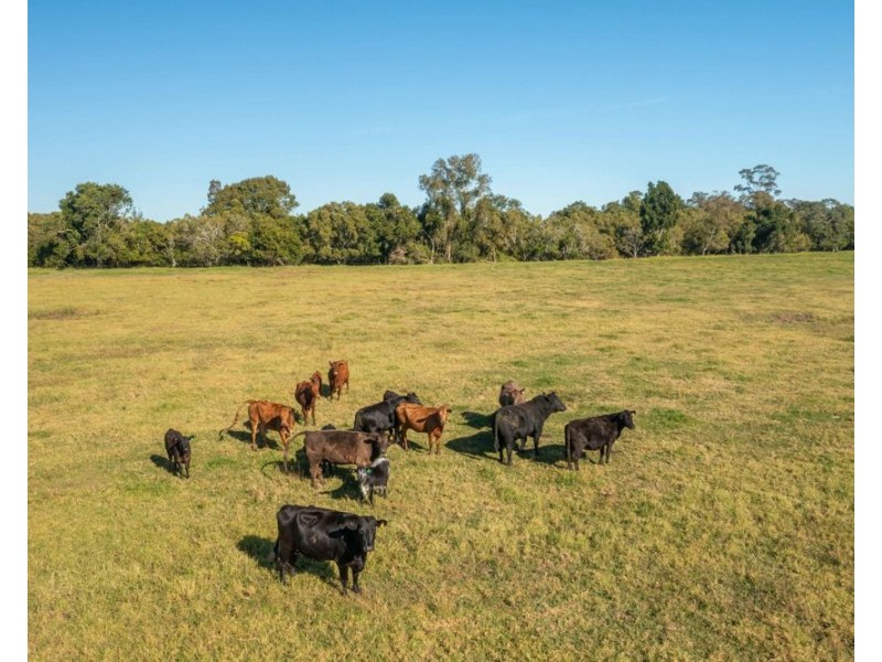 494 Kundle Kundle Rd, Kundle Kundle NSW 2430