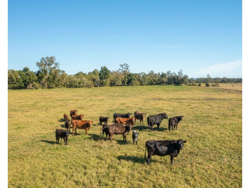 494 Kundle Kundle Rd, Kundle Kundle NSW 2430