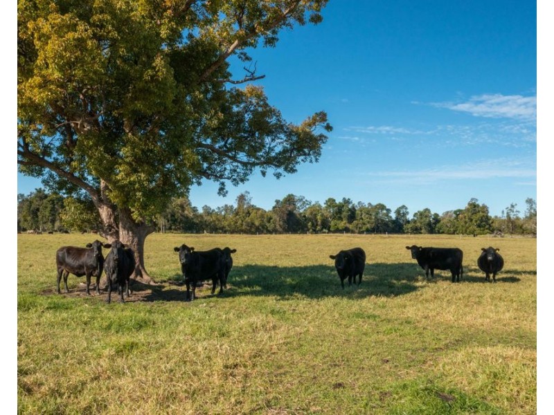 494 Kundle Kundle Rd, Kundle Kundle NSW 2430
