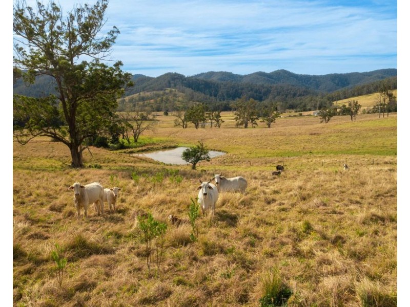 Lot 1 John Wallis Road, Upper Pappinbarra NSW 2446