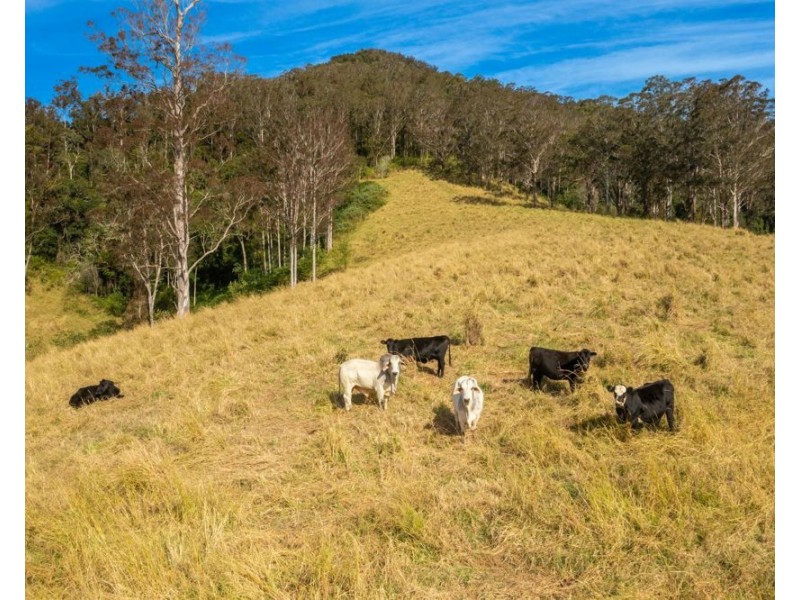 Lot 1 John Wallis Road, Upper Pappinbarra NSW 2446