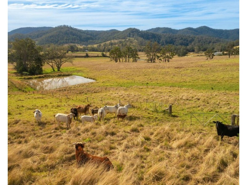 Lot 1 John Wallis Road, Upper Pappinbarra NSW 2446