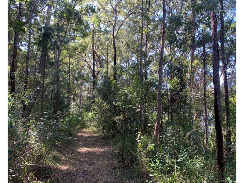 Bonny Hills NSW 2445