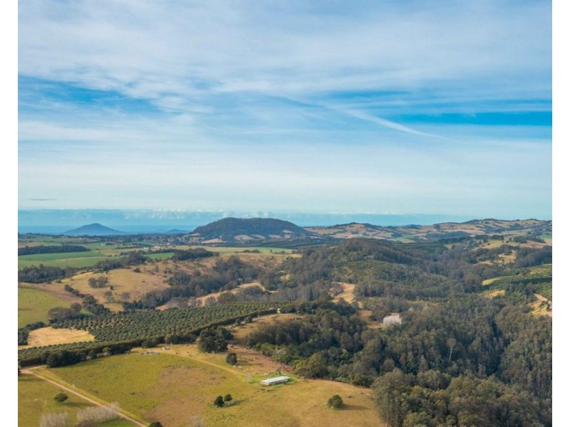313 Ducks Ridge Road, Comboyne NSW 2429