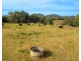 313 Ducks Ridge Road, Comboyne NSW 2429