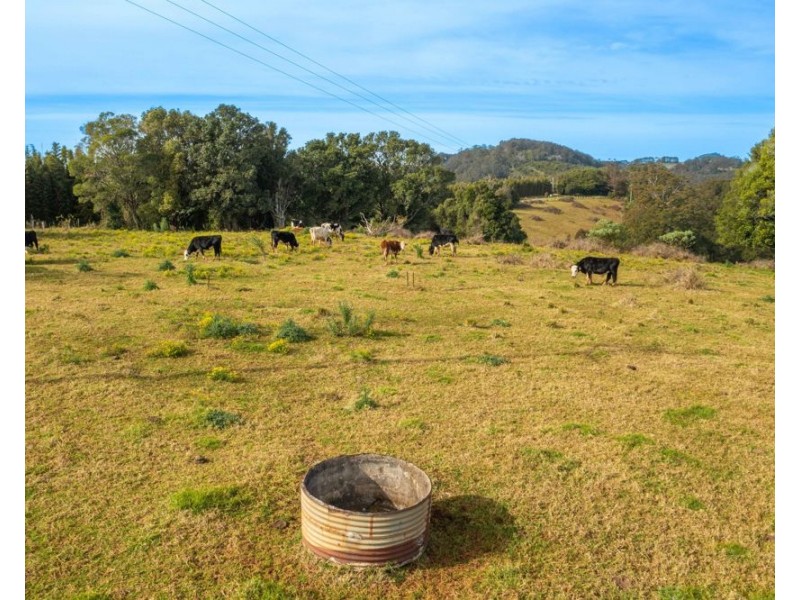 313 Ducks Ridge Road, Comboyne NSW 2429
