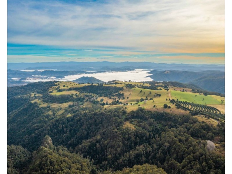 313 Ducks Ridge Road, Comboyne NSW 2429