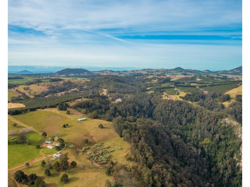 313 Ducks Ridge Road, Comboyne NSW 2429