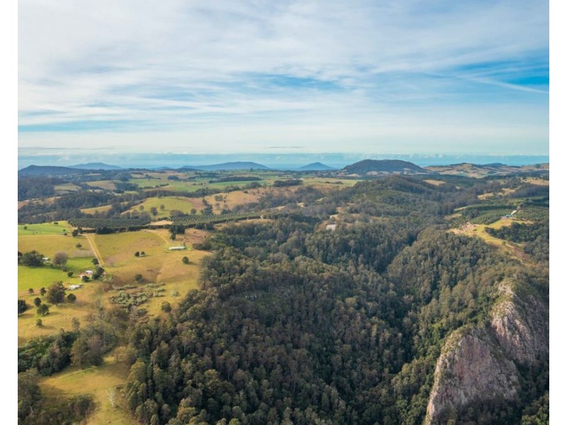 313 Ducks Ridge Road, Comboyne NSW 2429