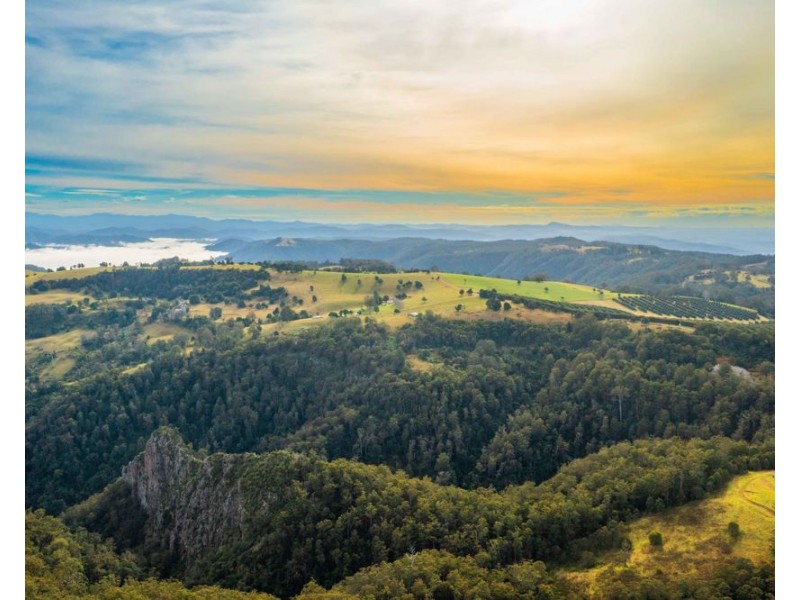 313 Ducks Ridge Road, Comboyne NSW 2429