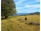 313 Ducks Ridge Road, Comboyne NSW 2429
