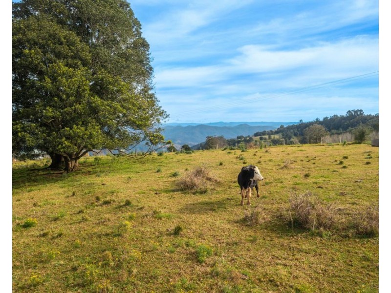 313 Ducks Ridge Road, Comboyne NSW 2429