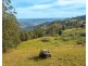 313 Ducks Ridge Road, Comboyne NSW 2429