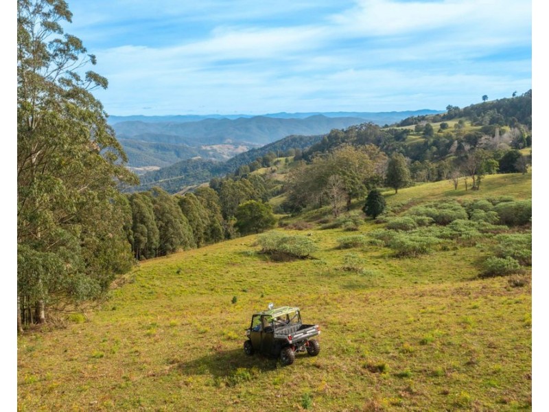 313 Ducks Ridge Road, Comboyne NSW 2429