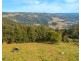313 Ducks Ridge Road, Comboyne NSW 2429