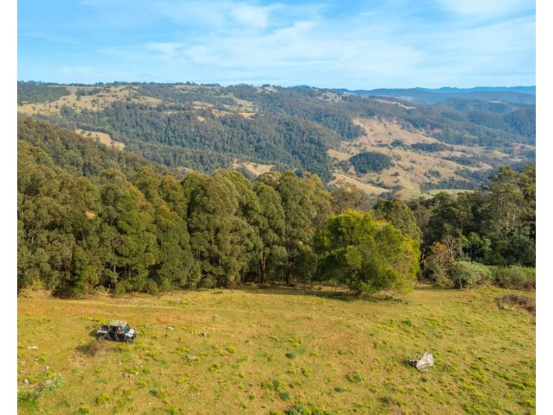 313 Ducks Ridge Road, Comboyne NSW 2429