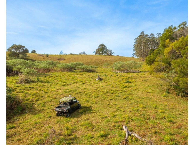 313 Ducks Ridge Road, Comboyne NSW 2429