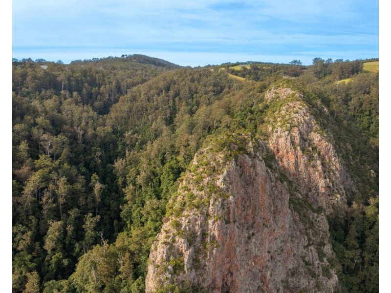 313 Ducks Ridge Road, Comboyne NSW 2429