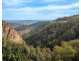 313 Ducks Ridge Road, Comboyne NSW 2429