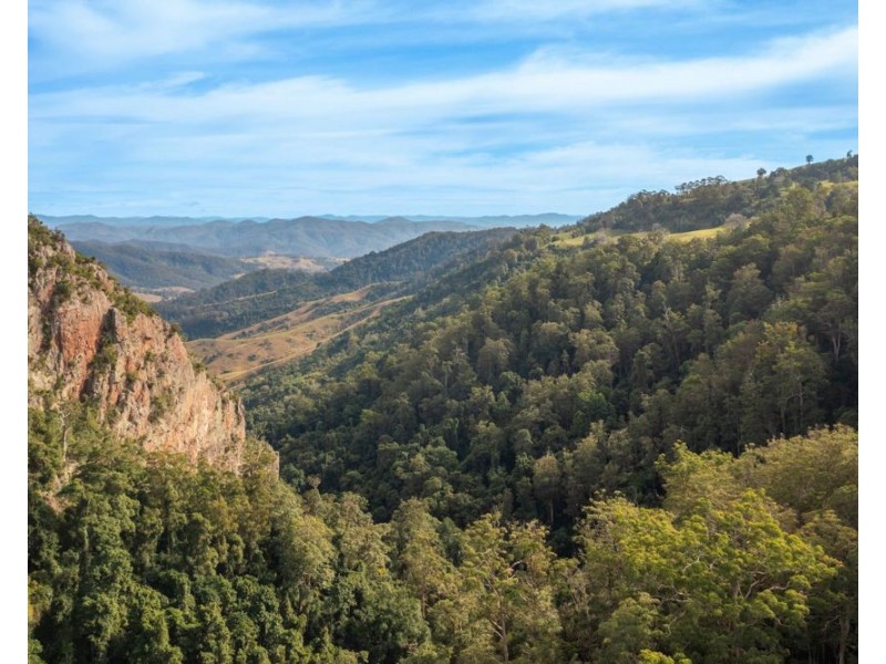 313 Ducks Ridge Road, Comboyne NSW 2429