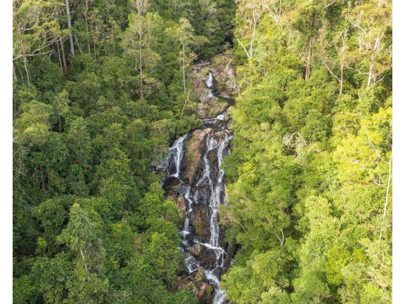 313 Ducks Ridge Road, Comboyne NSW 2429