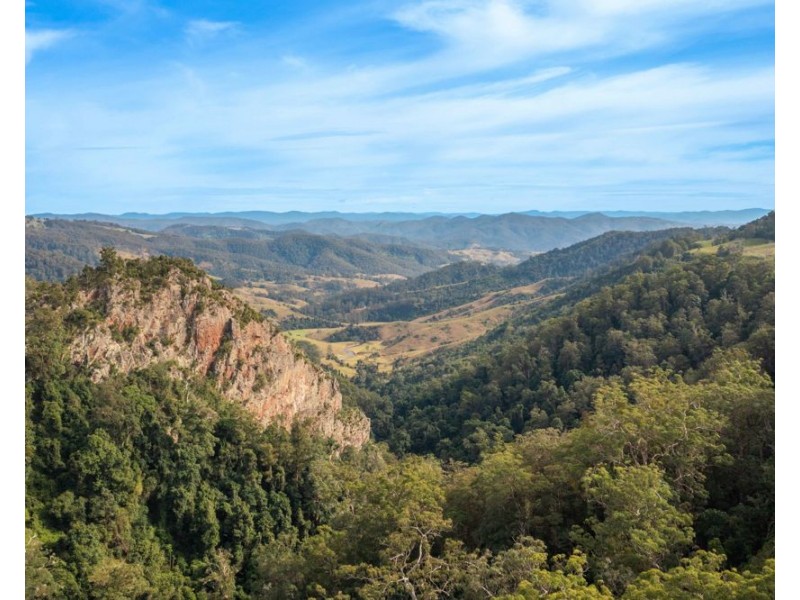 313 Ducks Ridge Road, Comboyne NSW 2429