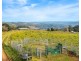 313 Ducks Ridge Road, Comboyne NSW 2429