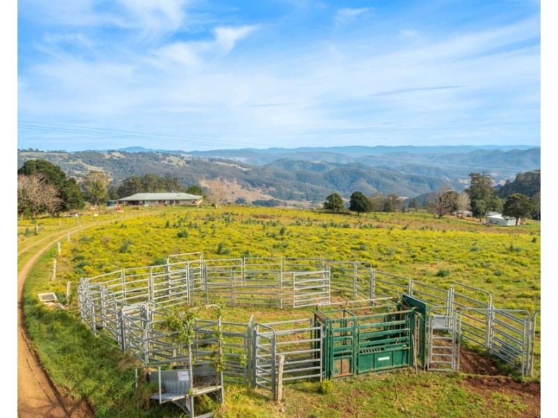 313 Ducks Ridge Road, Comboyne NSW 2429