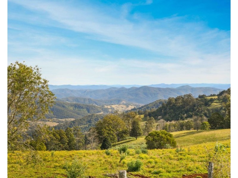 313 Ducks Ridge Road, Comboyne NSW 2429