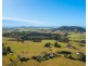 3731 Wingham Road, Comboyne NSW 2429