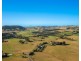 3731 Wingham Road, Comboyne NSW 2429