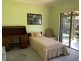 240 South West Rocks Road, Pola Creek NSW 2440