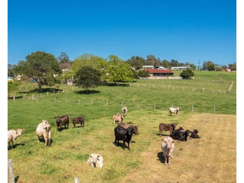 22 Warne Drive, Aldavilla NSW 2440