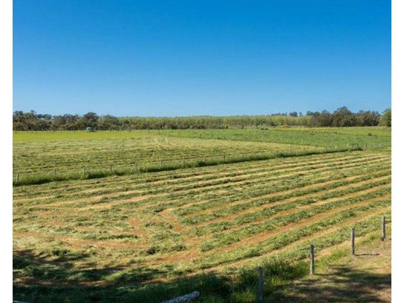 22 Warne Drive, Aldavilla NSW 2440