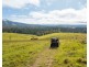 6292 oxley highway, Yarras NSW 2446