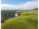 6292 oxley highway, Yarras NSW 2446