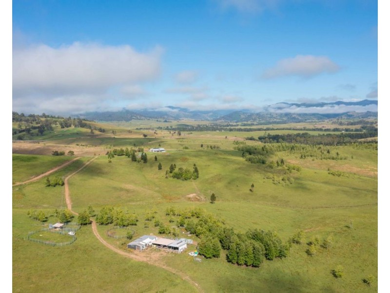 6292 oxley highway, Yarras NSW 2446