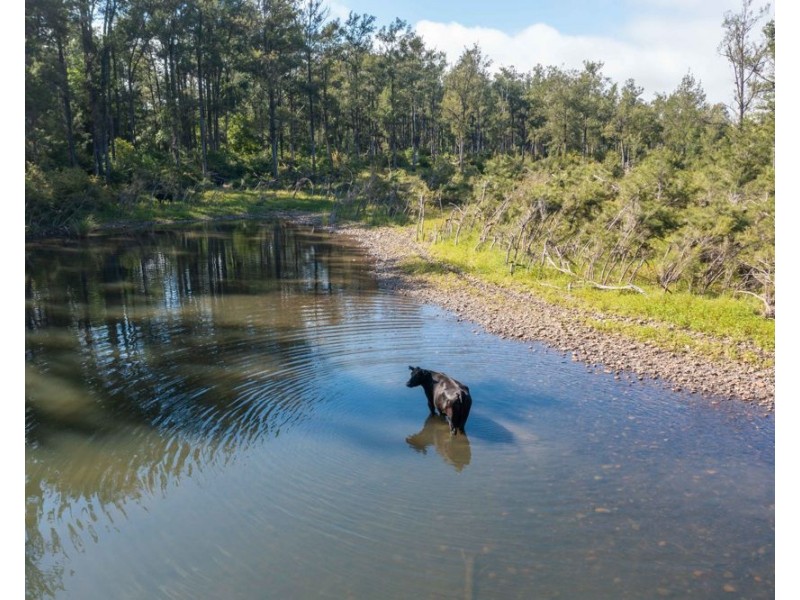 6292 oxley highway, Yarras NSW 2446