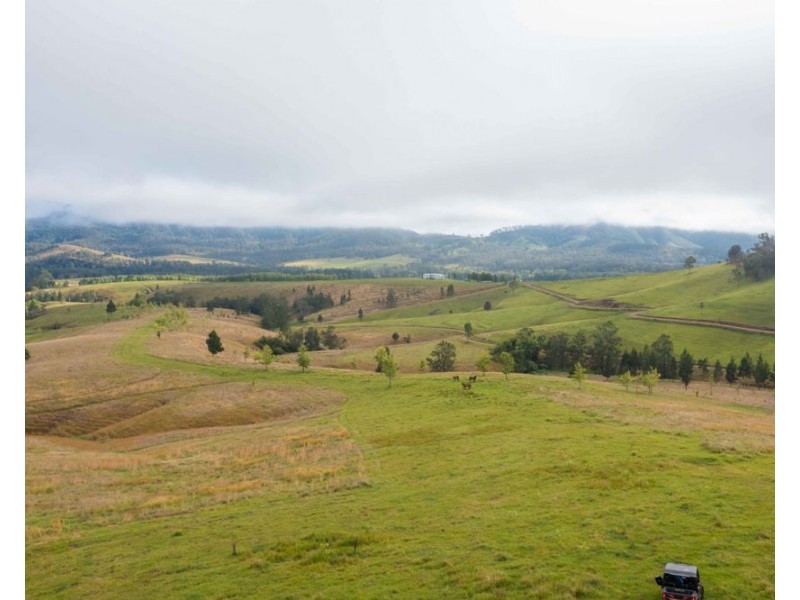 6292 oxley highway, Yarras NSW 2446