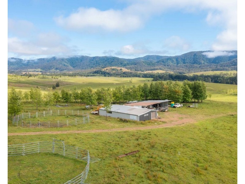 6292 oxley highway, Yarras NSW 2446
