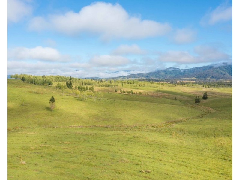 6292 oxley highway, Yarras NSW 2446