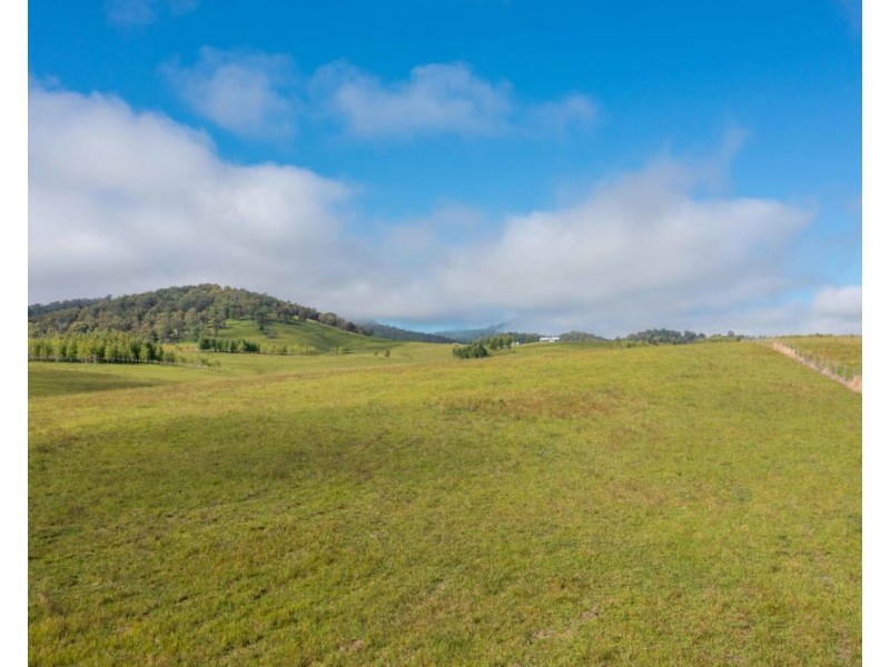 6292 oxley highway, Yarras NSW 2446