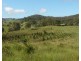 6292 oxley highway, Yarras NSW 2446