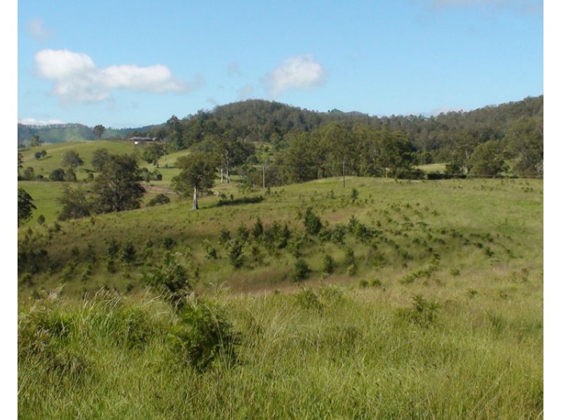 6292 oxley highway, Yarras NSW 2446