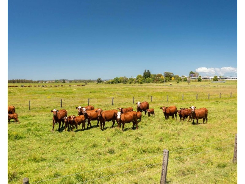 Lot 62 Macleay Valley Way, Kempsey NSW 2440