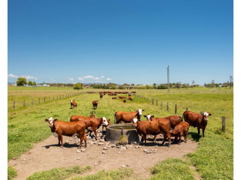 Lot 62 Macleay Valley Way, Kempsey NSW 2440