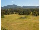 1192 Herberts Road, Ballengarra NSW 2441
