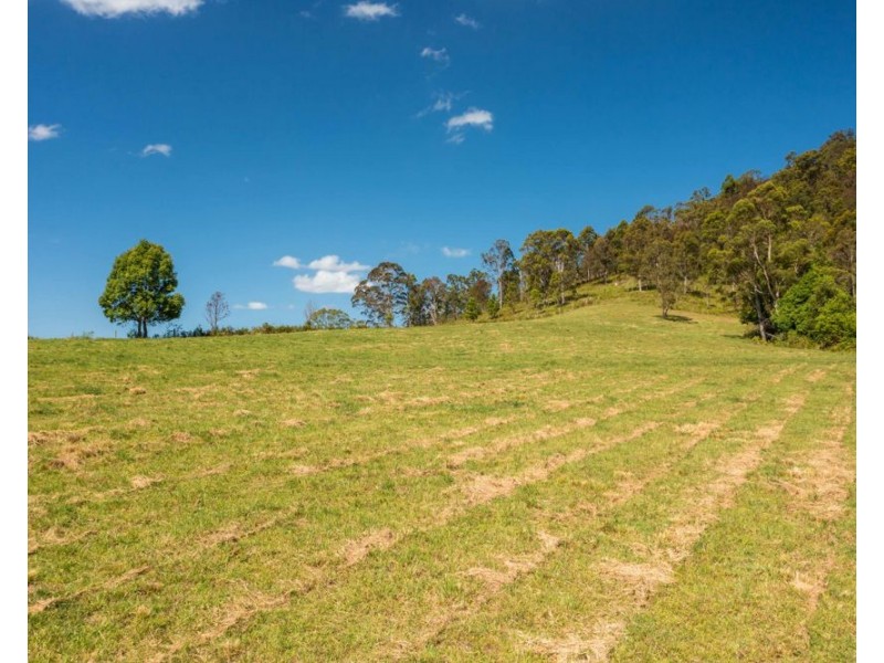 1192 Herberts Road, Ballengarra NSW 2441