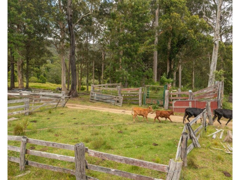 255 Spokes Road, Ballengarra NSW 2441
